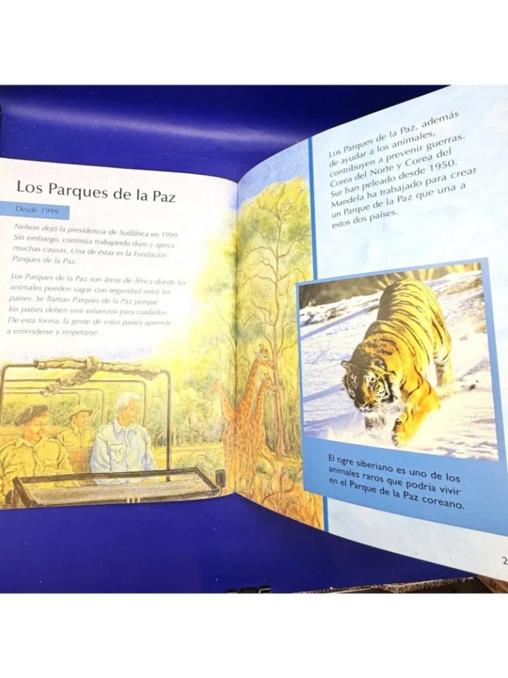 Nelson Mandela En Lucha Por La Libertad Biography Spanish PB Homeschool Reading